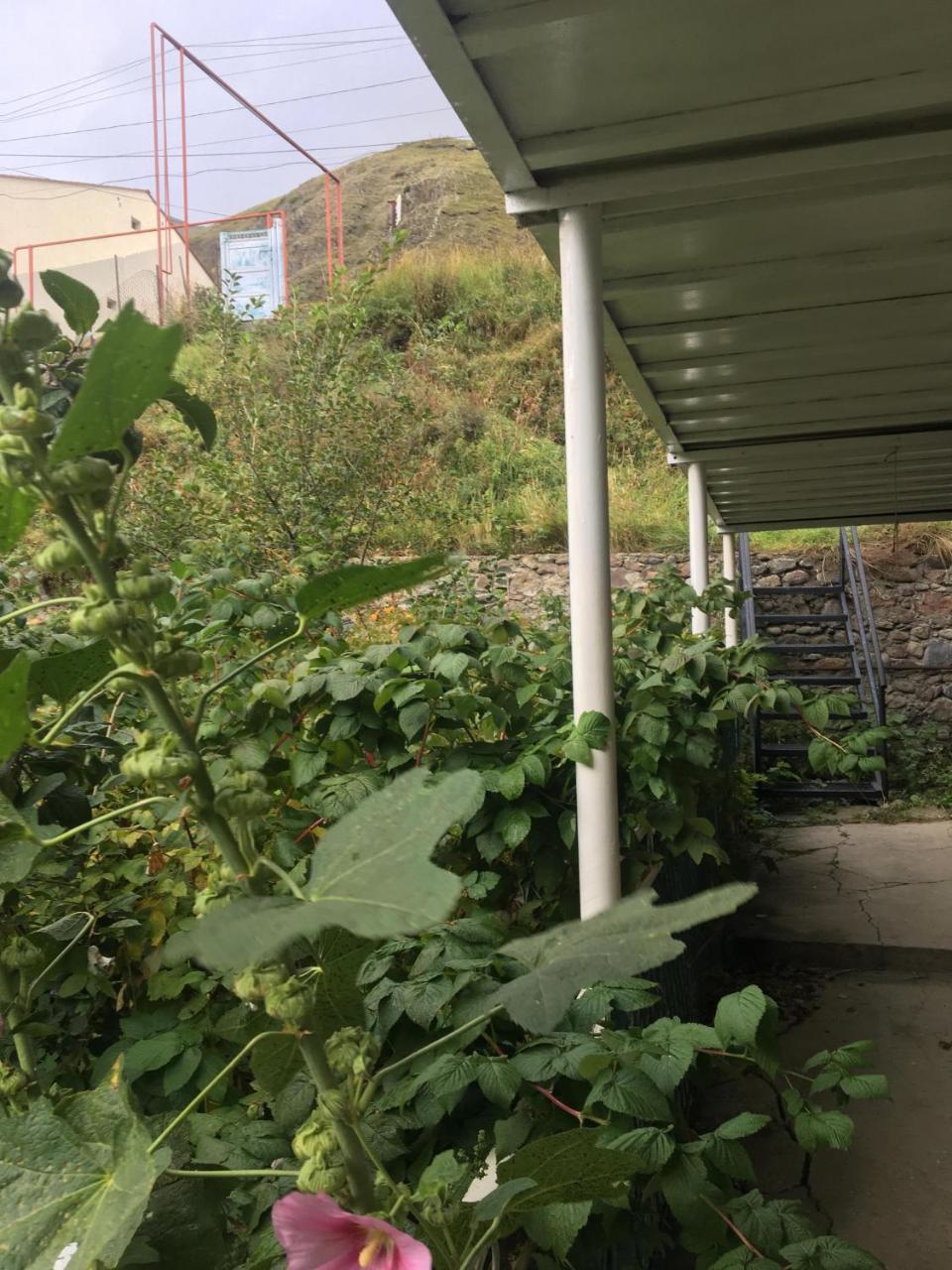 Maia'S Guest House Gergeti 카즈베기 외부 사진